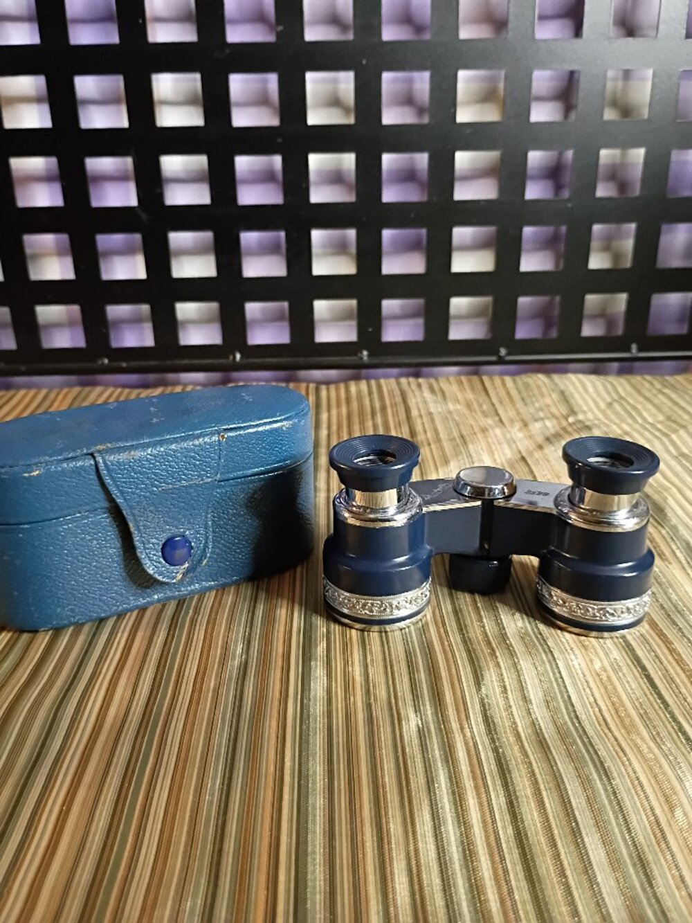 vintage pair of Violetta Opera glasses